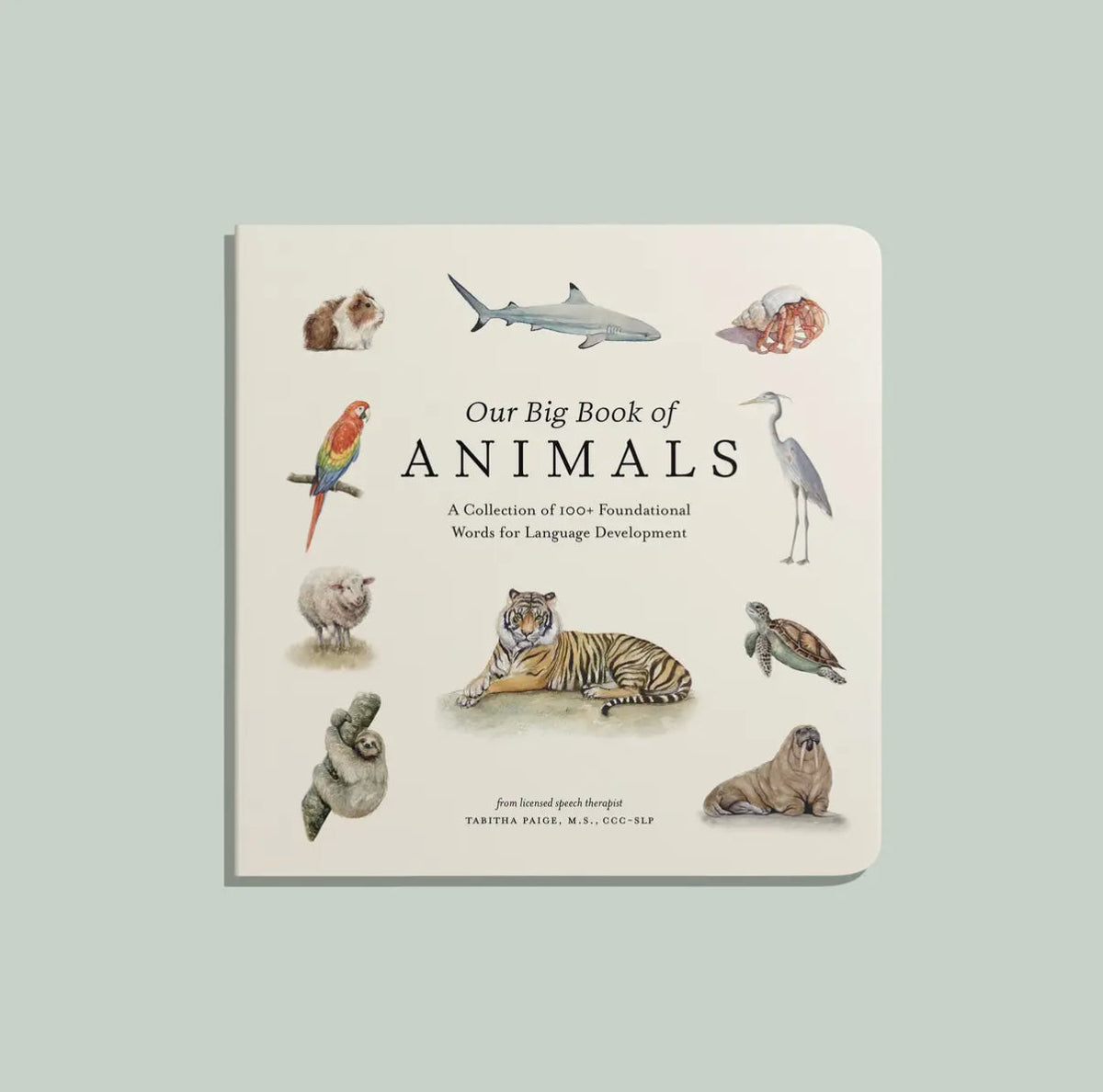 Big book of ANIMALS