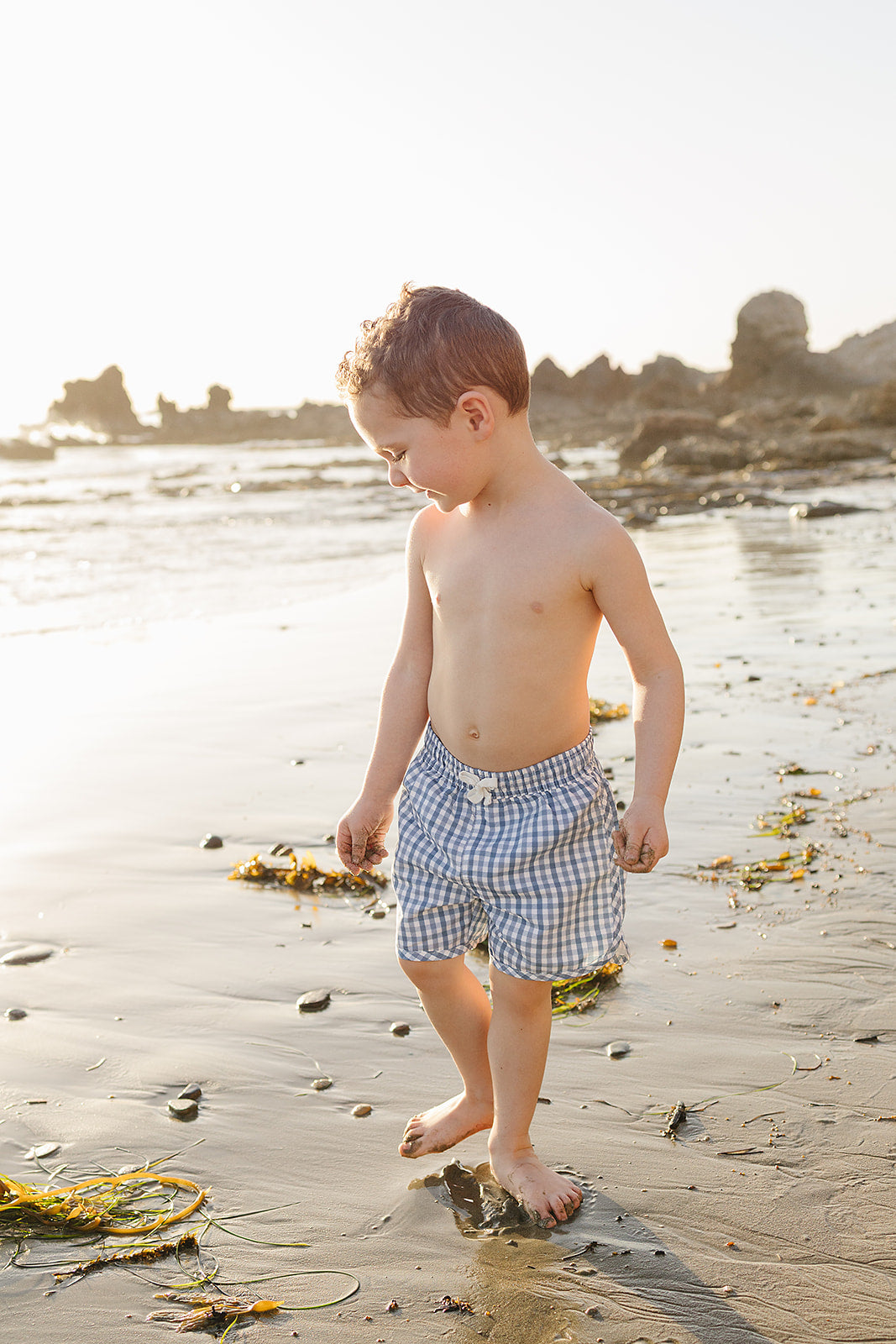 Light Blue Gingham Swim Shorts