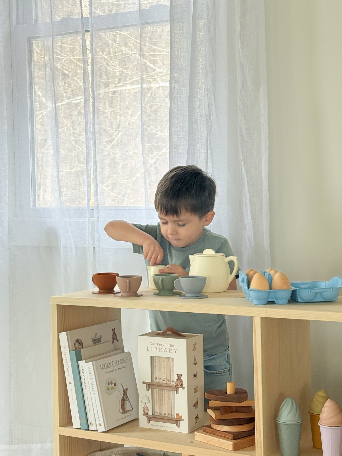 Wooden Toy and Book Organizer Shelf